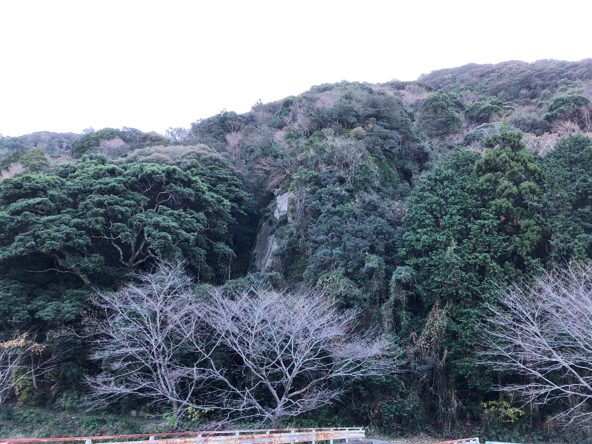 特別番組『熊野水軍の城〜史跡 安宅氏城館跡を訪ねて〜』